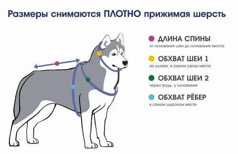 Шлейка как правильно подобрать