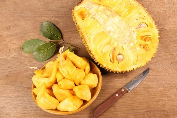 4pcs Jackfruit Seeds Fresh Jack Fruit Rare Tropical Giant Tree Etsy
