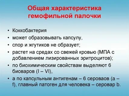 Инфекция б