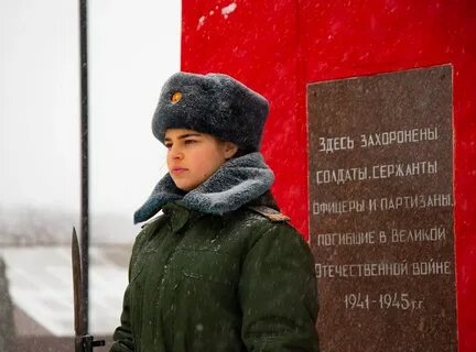 День медвенки