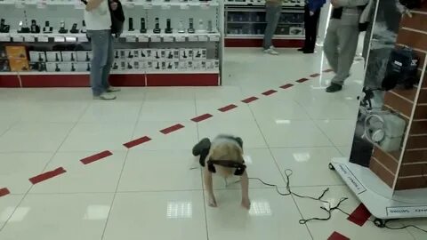 Пытается не описаться