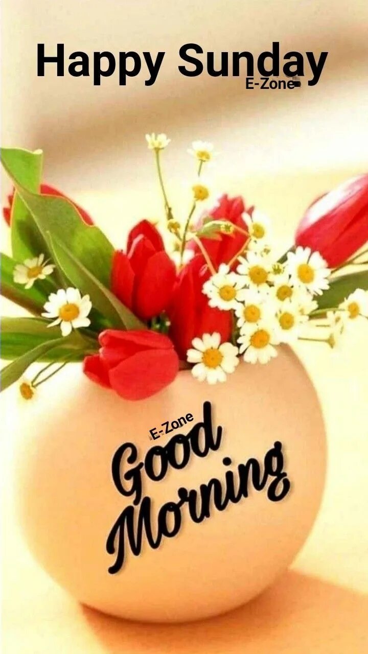 Good morning monday картинки. Good morning tv. Good morning фото. Фото good morning my love. Открытки с добрым утром на английском.