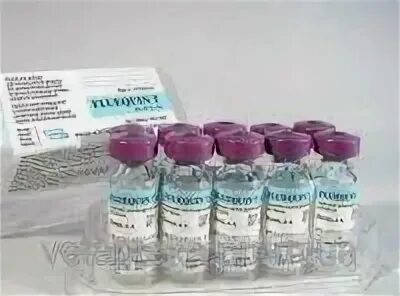 Вакцина ринопневмония лошадей инструкция