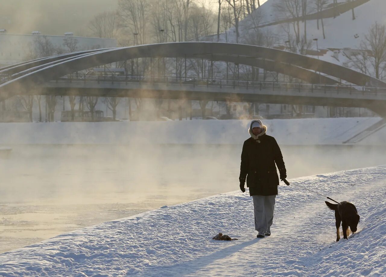Прогулка с собакой зимой. Зимняя одежда для прогулки с собаками. Гулять ли с собакой в мороз. Прогулка с собакой зимой. Гулять ли с собакой в мороз.