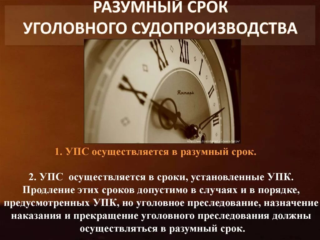 Разумный срок уголовного судопроизводства. Разумный срок уголовноготсудопроищжства. Принцип разумного срока уголовного судопроизводства. Принцип разумности сроков уголовного судопроизводства. Разумные сроки производства