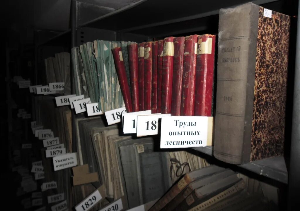 130 млн книг. дворец книги димитровград. книжные ульяновск. склады книг ульяновск. московский книжный двор.