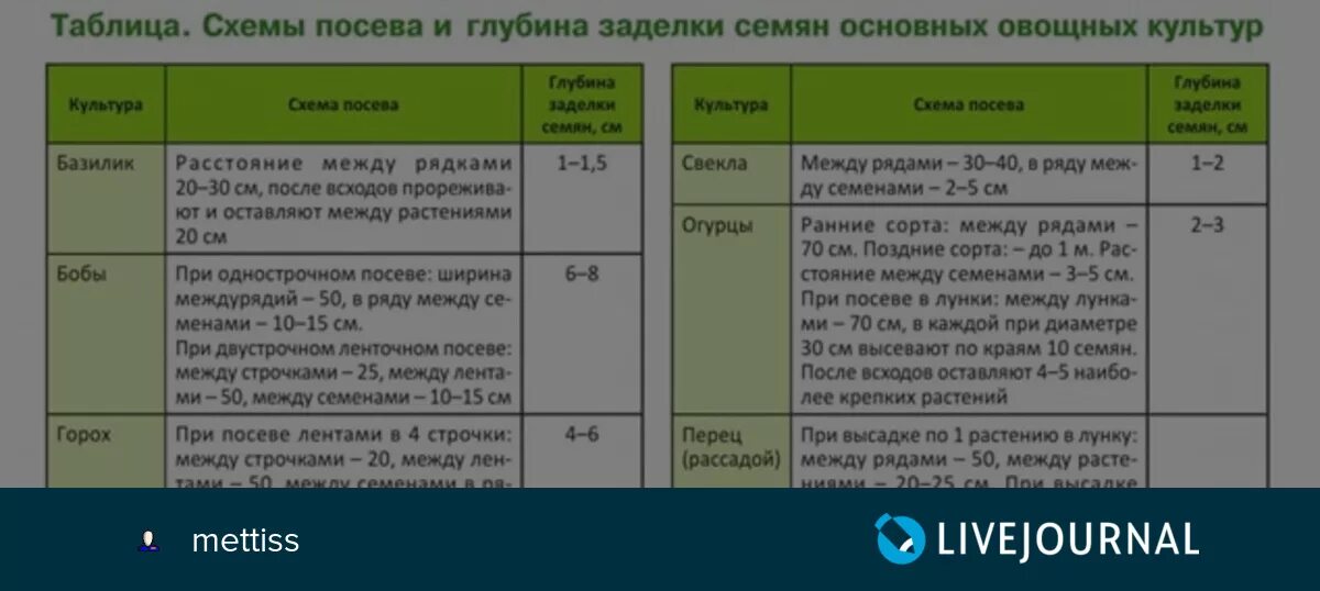 От чего зависит глубина посева семян впр. Глубина посева семян овощных культур. таблица глубины посева семян. глубина заделки семян овощных культур. глубина посадки семян таблица.