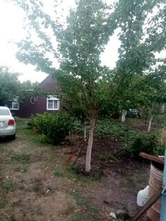 Погода осколец