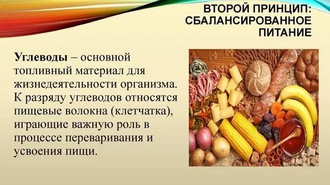 Углеводы и их роль в жизнедеятельности организма