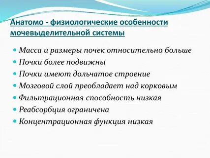 Физиологические особенности системы