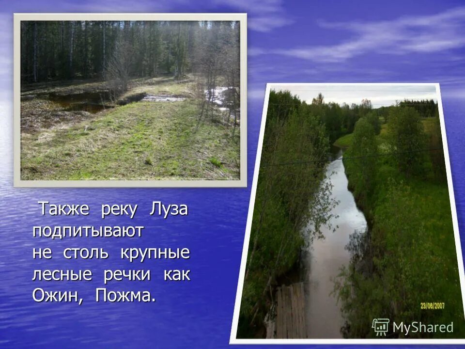 Исток реки Луза в Кировской области. Река Луза. Речка Луза. Река Луза фото.