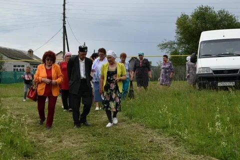 Погода каклы куль