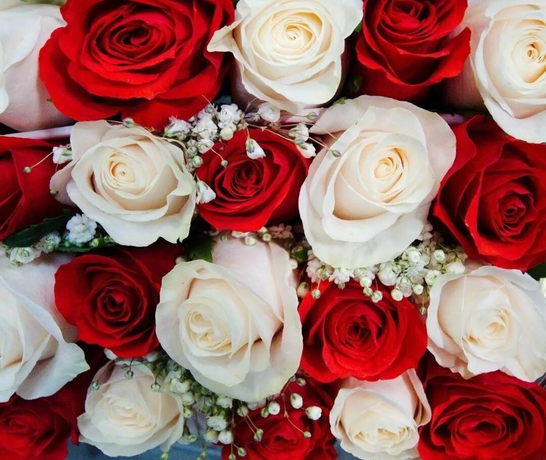 Букет "хризантемы и розы". Небольшие букеты. Букет из 11 роз. 5 роз белых и красных. Букет из белых и красных роз.