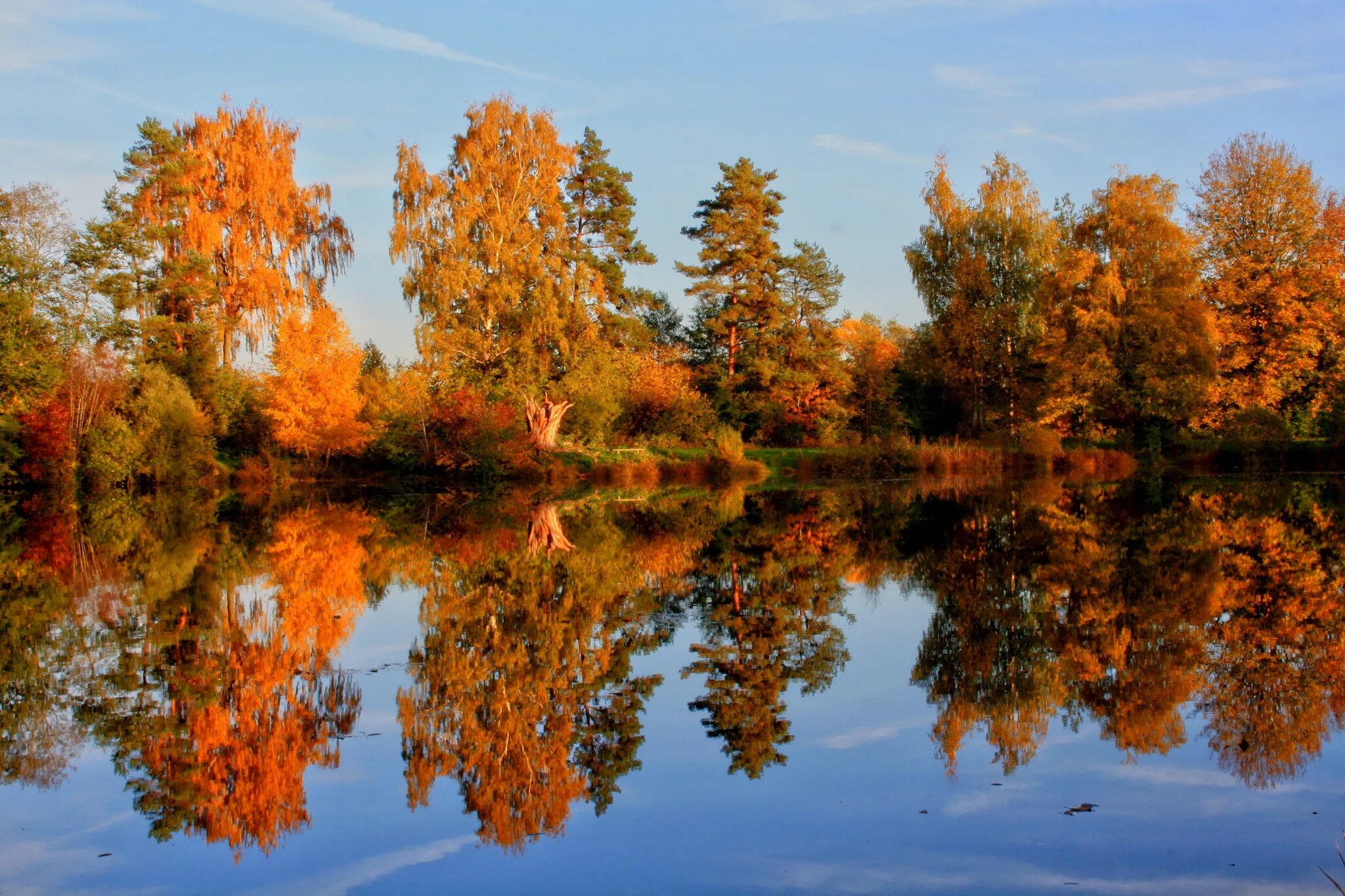 Деревья смотрят в воду