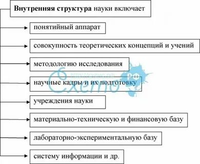 Структура научной сферы