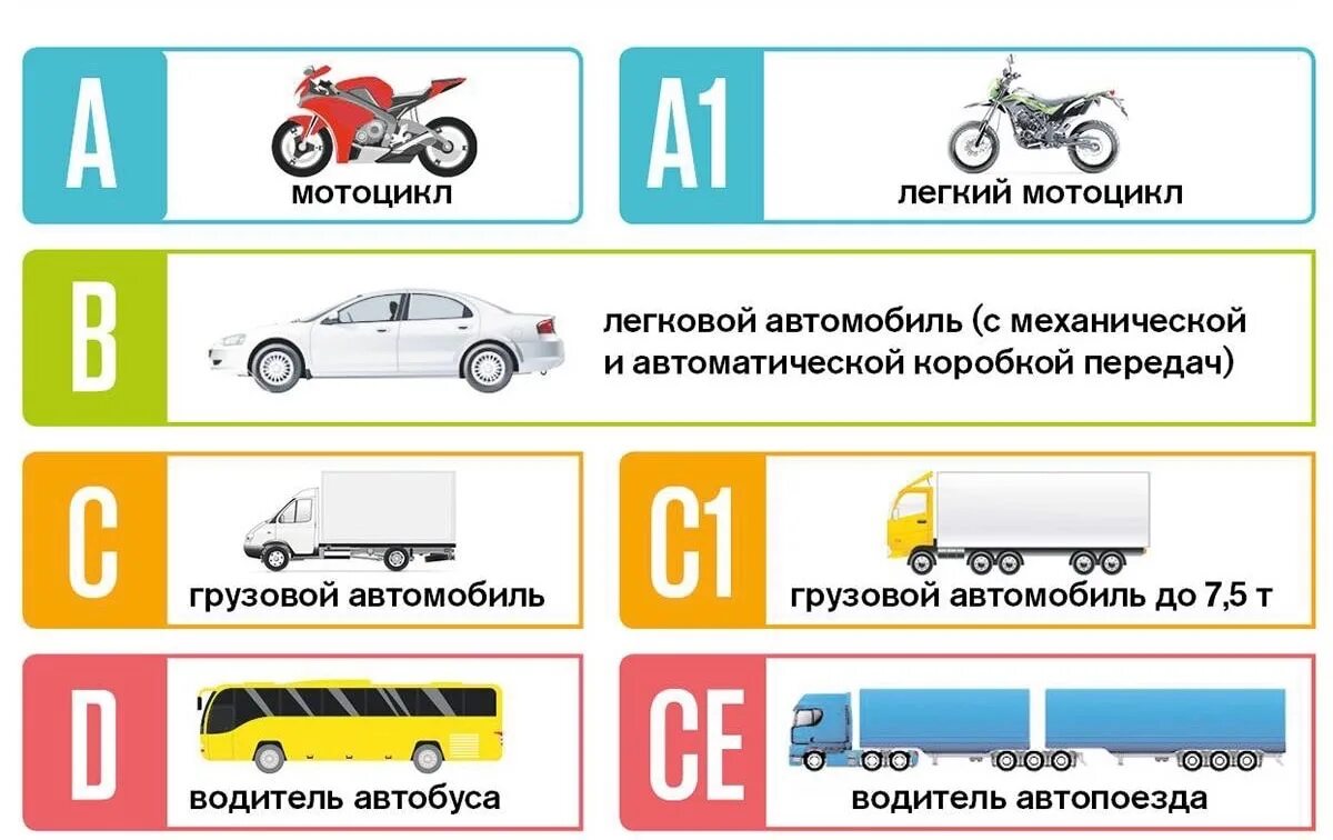 Какое транспортное средство относится к автобусу. Категория в1 водительских прав что это м1. Категории водительских прав с категорией в1 расшифровка. Категории водительских прав в России с расшифровкой.