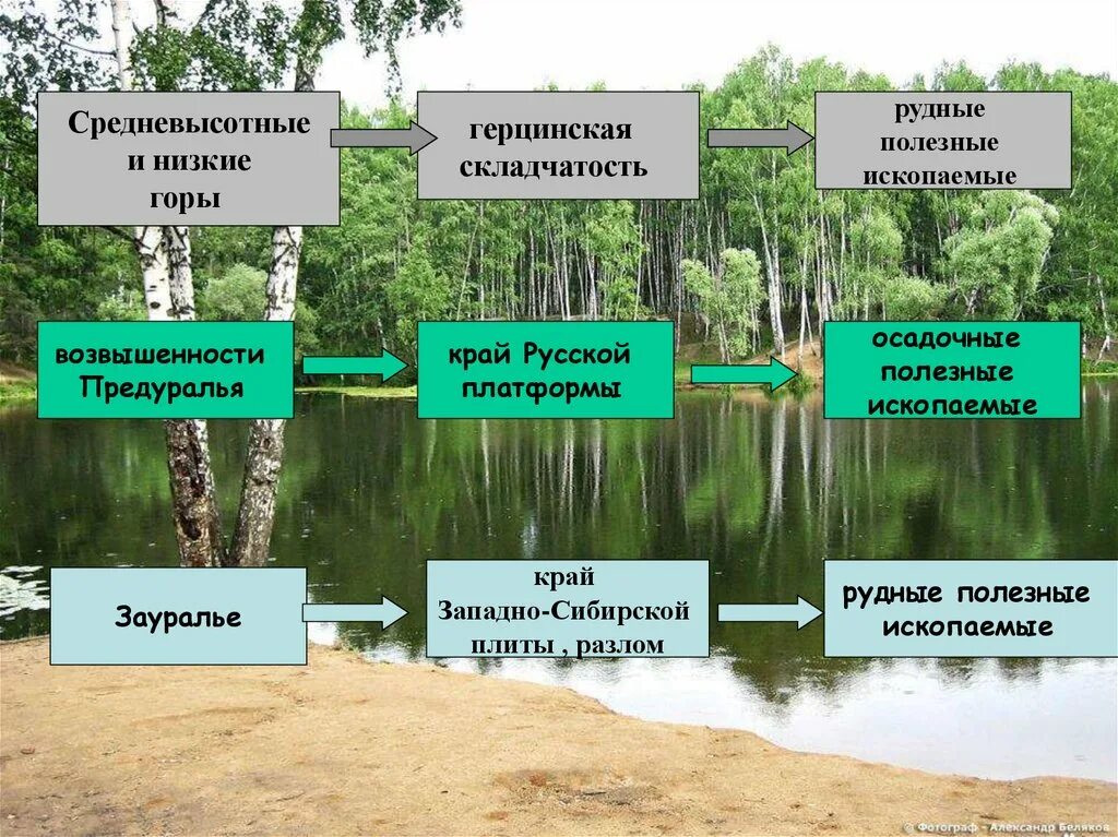 Герцинская складчатость полезные ископаемые. Полезные ископаемые Зауралья. Уральские горы герцинская складчатость. Области герцинской складчатости полезные ископаемые. Результаты опорный край