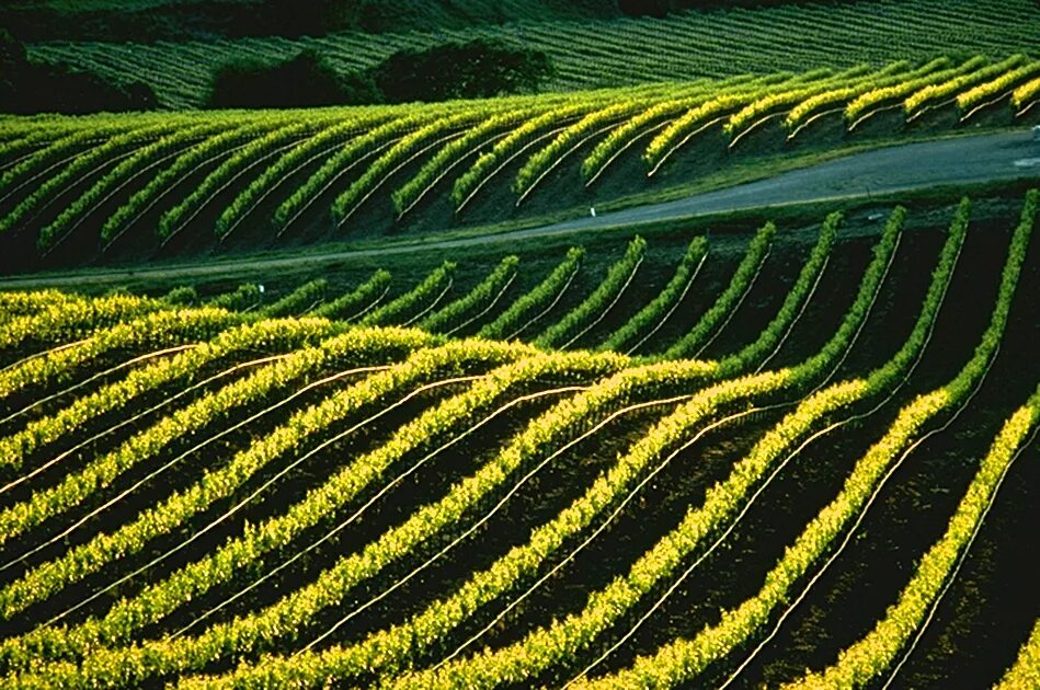 Земельные ресурсы венесуэлы. Земельные ресурсы. Земельные ресурсы Великобритании.