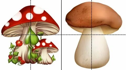 Разрезные картинки грибы