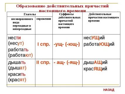 Все возможные формы причастия накормить