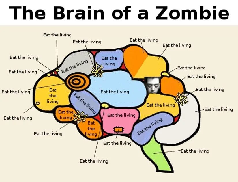 Zombie brain. Паразит контролирует мозг зомби.