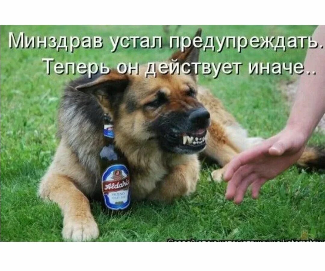 Пол бака и пол бака это полюбому бак. Предупреждать довольно. Предупреждающие дорожные знаки для детей. А я говорила мем. Знак чайник за рулем.