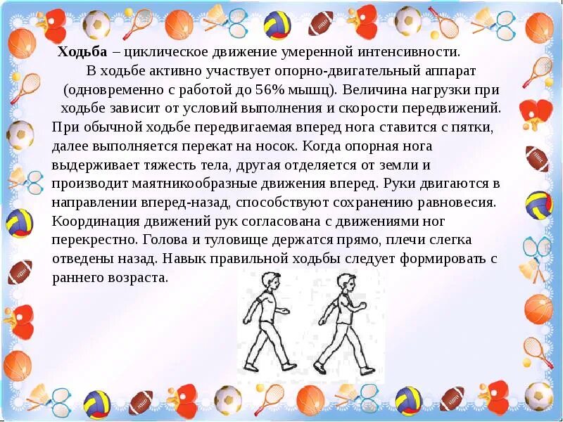 5 видов основных движений. Бег и ходьба в доу. техника выполнения основных видов ходьбы. характеристика ходьбы. виды техники выполнения цикличных движений.