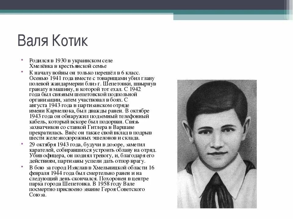 герои великой отечественной котик.