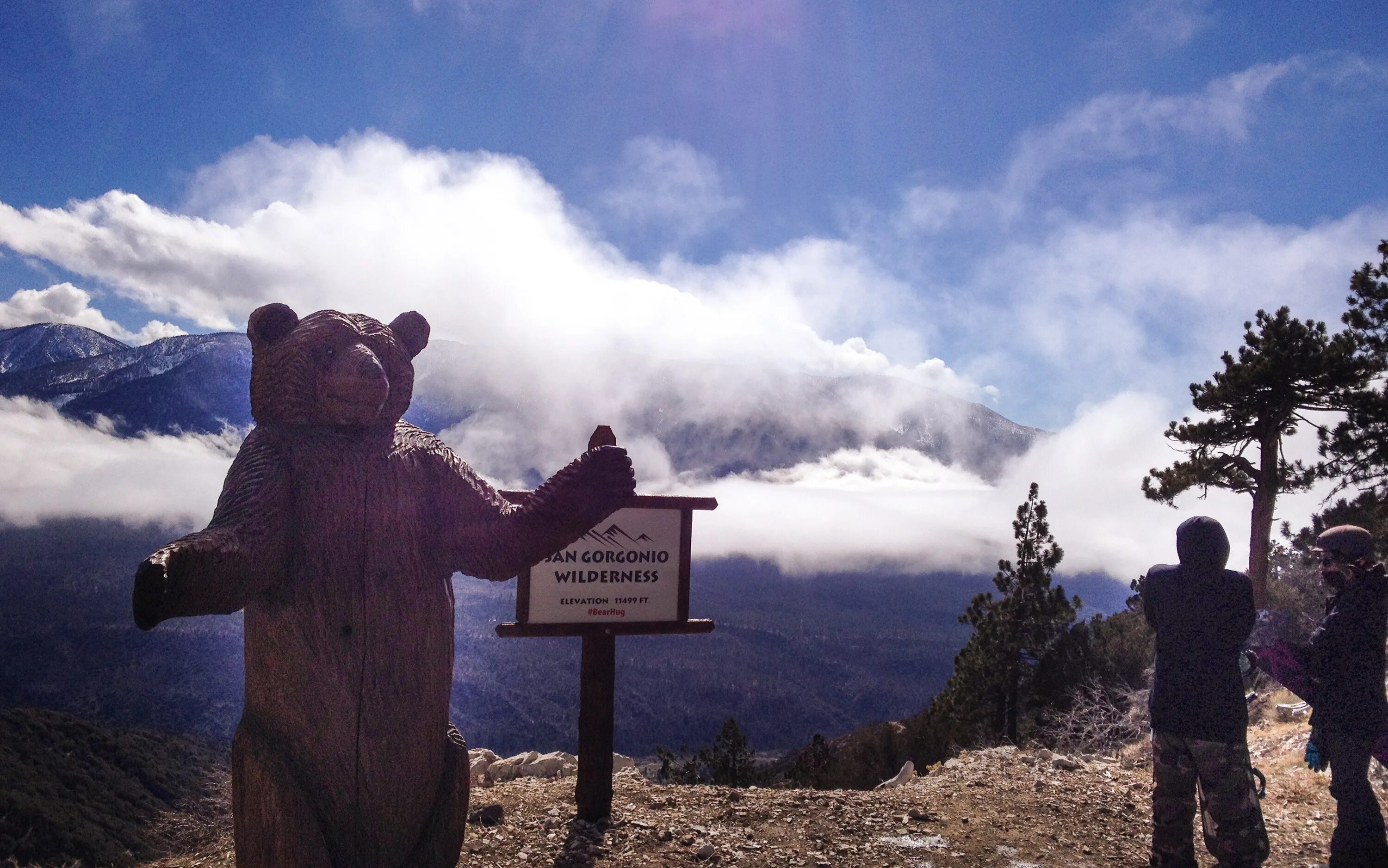 I am a big bear. Большие медведи коричневые. Плюшевый медведь. Кадьяк (медведь). I am a big bear.
