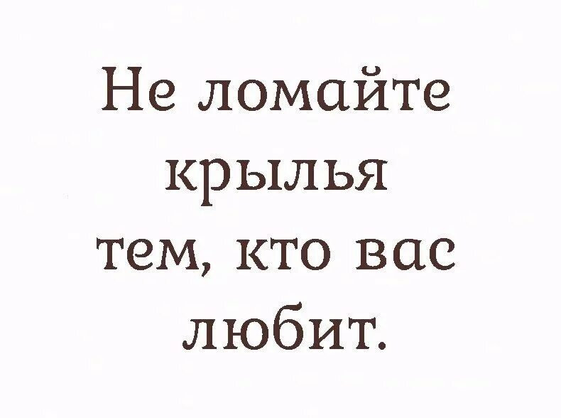 Не ломайте Крылья тем кто вас любит. Не ломайте Крылья тем кто вас любит картинка. Не ломайте Крылья цитата. Цитаты про сломанные Крылья.