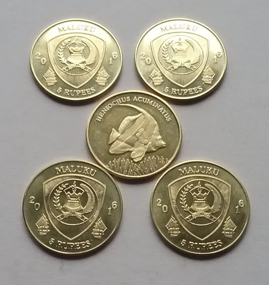 30 стран 30 монет.