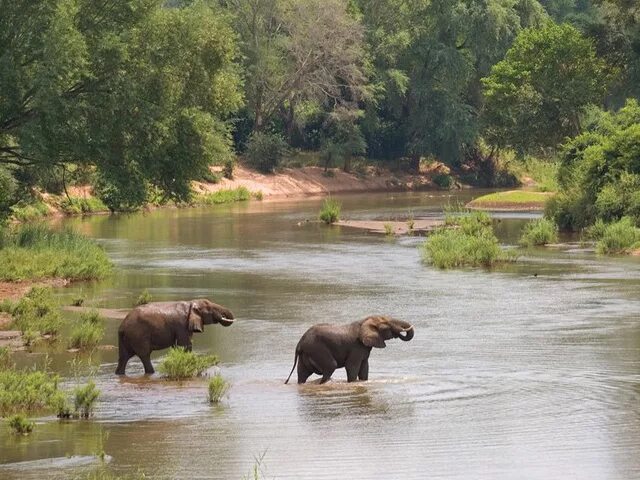 Africa river. Лимпопо река в Африке. Река Лимпопо ЮАР. Зимбабве река Лимпопо. Провинция Лимпопо в ЮАР.