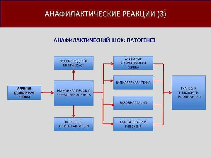 Патогенез анафилактического шока схема. Механизм развития анафилактического шока. Патогенез развития анафилактического шока. Анафилаксия патогенез. Анафилактический шок патогенез