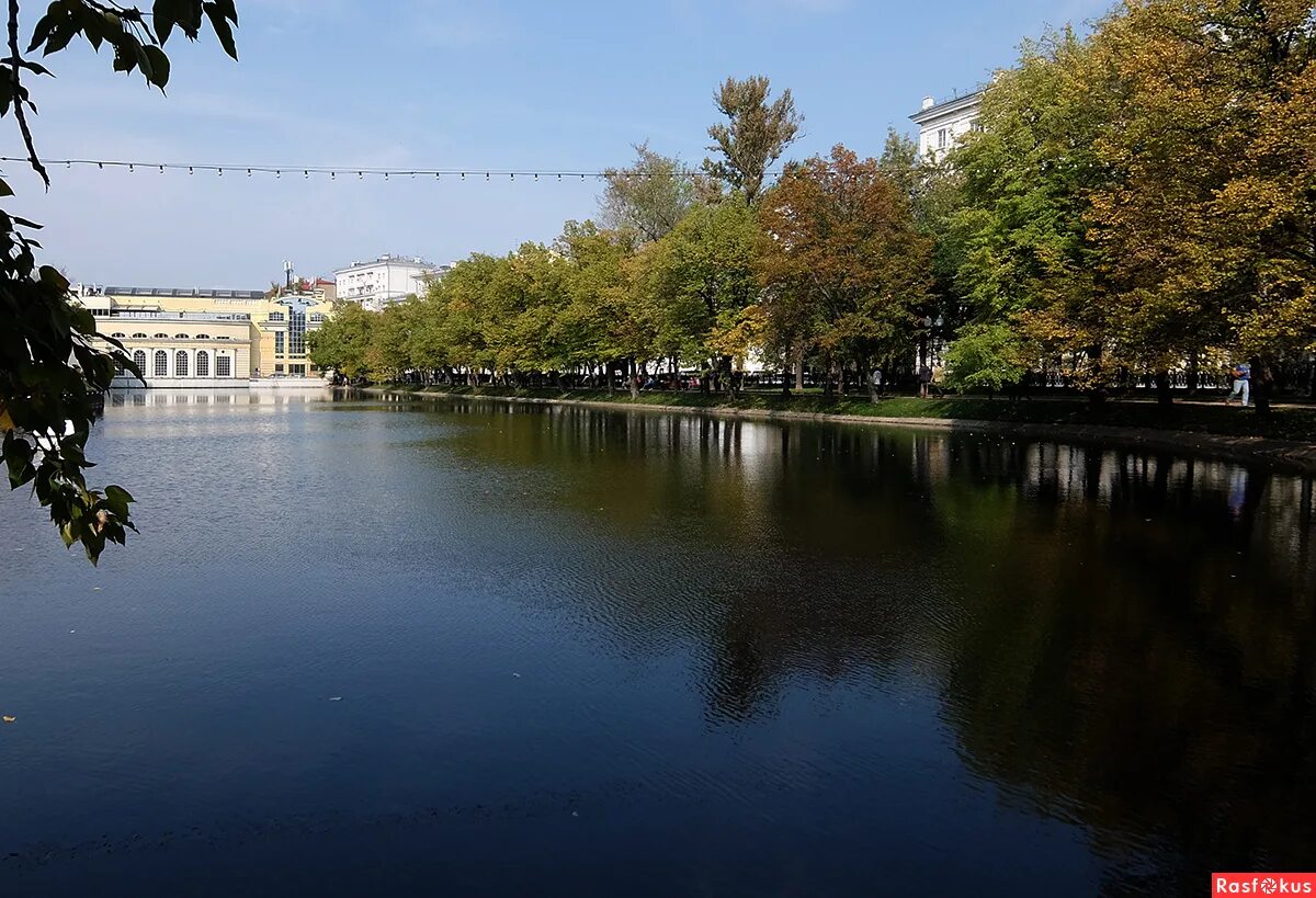 Парк чистые пруды москва. Жк чистые пруды брянск. Чистые пруды брянск. Чистые пруды москва осенью. Чистые пруды осень москва.