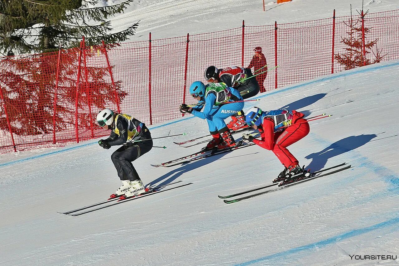 Кроссы вид спорта. Ски-кросс фристайл. Ски кросс вид спорта. Ски-кросс Чусовой. Freestyle Ski Cross.