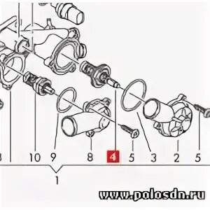 Заменил термостат - Volkswagen Polo Mk4F, 1,4 л, 2007 года своими руками DRIVE2