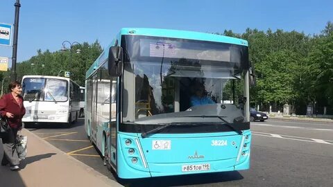 Санкт петербург каменка автобус