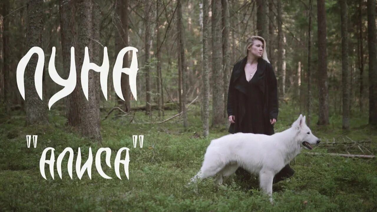 Алиса это луна. Алиса это луна. Алиса это луна. Луна - алиса mp3. Алиса для тех кто свалился с луны обложка альбома.