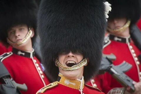 Королевские войска