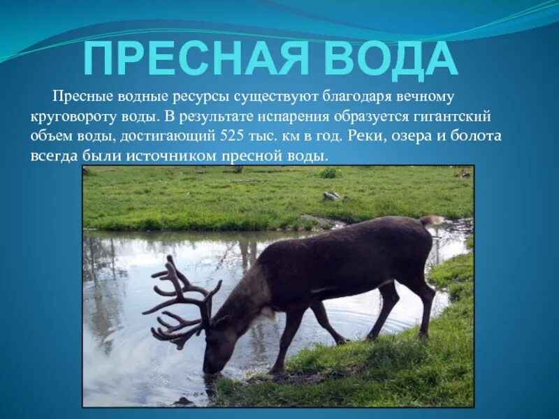 Что является пресным