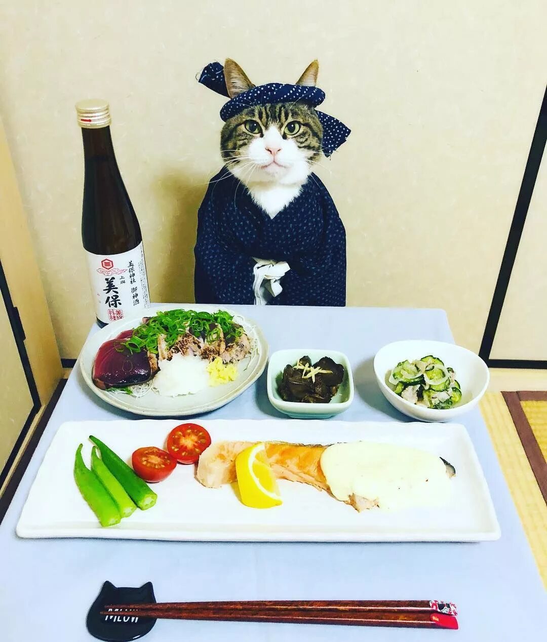 Ужин мем. Кот за столом. Ужин с котом. Романтический ужин с котом. Кот обед.