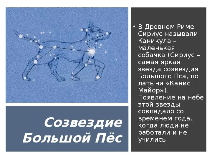 Сириус звезда какого созвездия. Созвездие большого пса. Сириус звезда в созвездии большого пса. Созвездие большой пес для детей. Сириус звезда презентация.