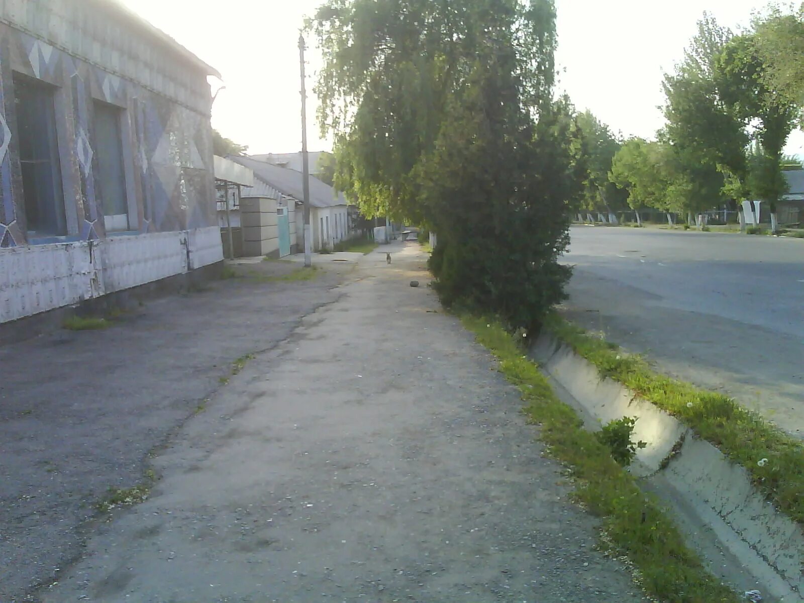 лалафо кызыл кия