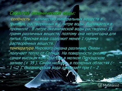 Вода морей и океанов составляет объем гидросферы