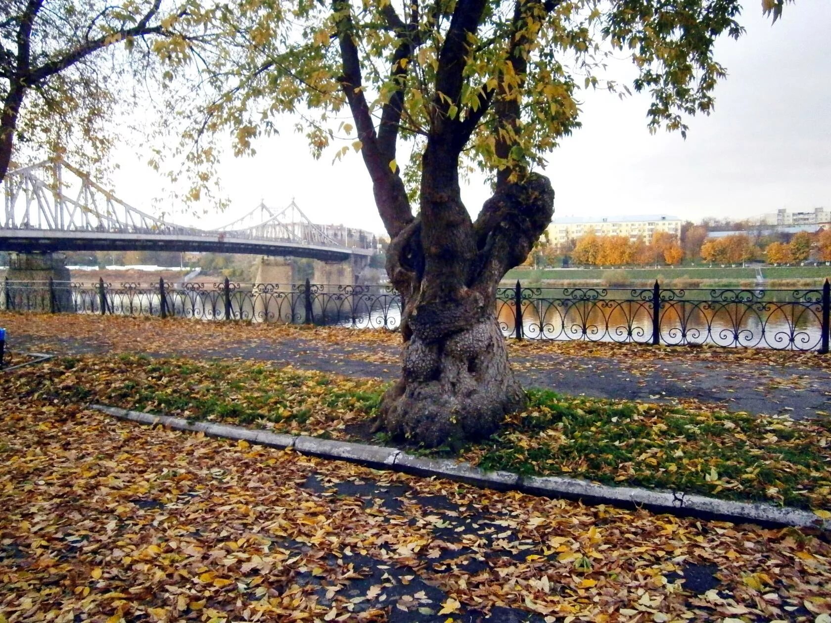 Октябрь в твери фото Октябрьские прогулки по городу фото: Sandra Тверь ВКонтакте