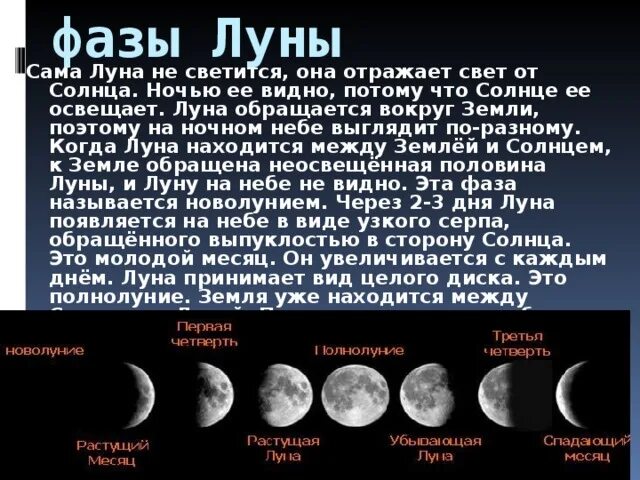 Сколько частей луны. Форма Луны. Луна в разных стадиях. Луна в разных фазах. Луна окружающий мир.