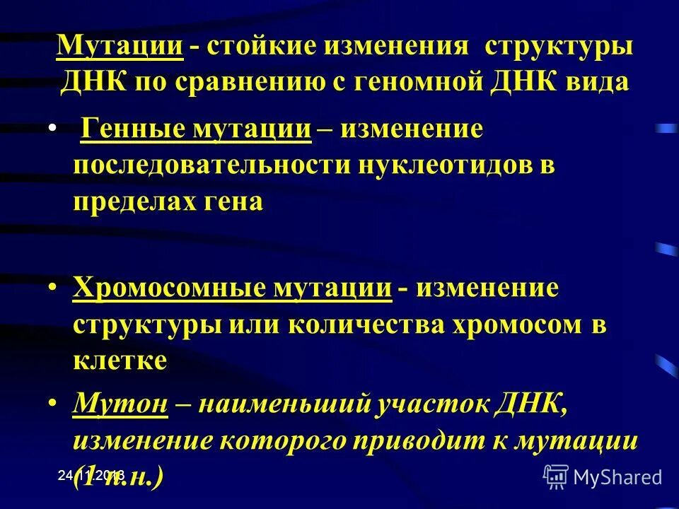 Изменение генотипа. При мутациях изменяется. При мутациях изменяется. Молчащие мутации. Генные мутации без сдвига рамки считывания.