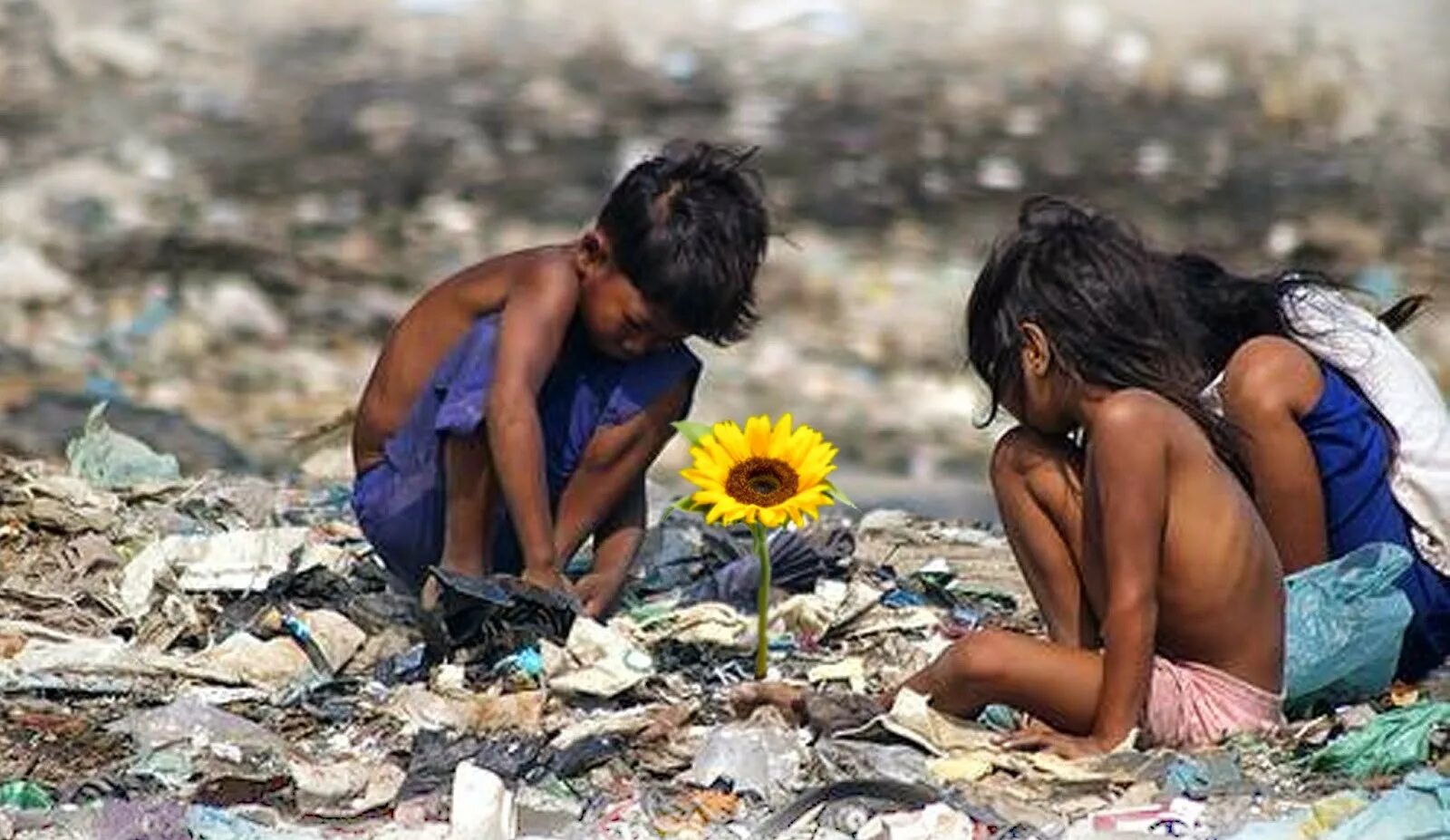 He s poor. Дети эфиопии. Бедность девушка. Тяжелый детский труд. Бангладеш детский труд.