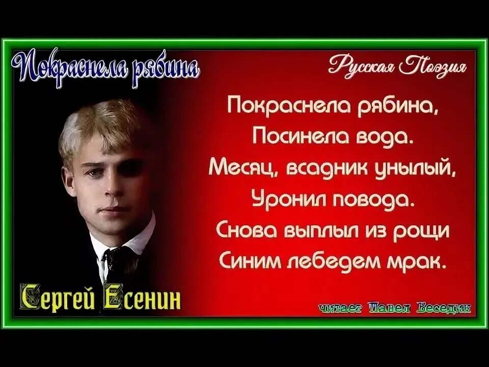 Рябина осенью. Рябина над рекой. Пейзаж с рябиной. Покраснела рябина посинела вода. Покраснела рябина посинела вода.
