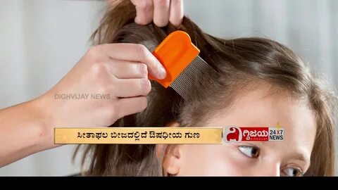 Источник педикулеза